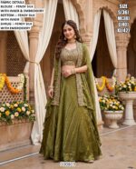 Premium Party Wear Outfit For Women