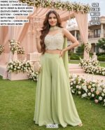 Premium Party Wear Outfit For Women
