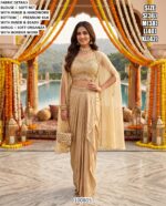 Stylish Indo Western Ethnic Wear For Women