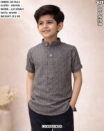 Boys Rayon Lucknavi Schiffli Work Kurta