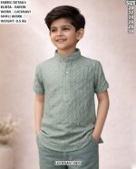 Boys Rayon Lucknavi Schiffli Work Kurta