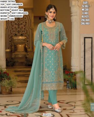 Traditional Women Suit With Detailed Border Work