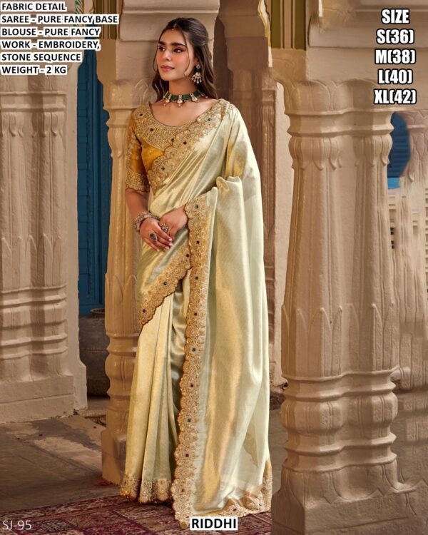 Graceful Fancy Saree With Detailed Border Work