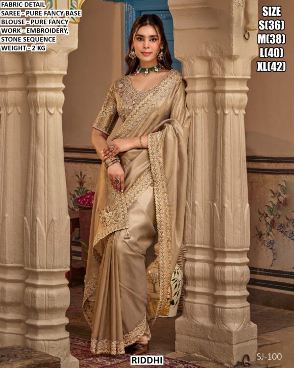 Graceful Fancy Saree With Detailed Border Work