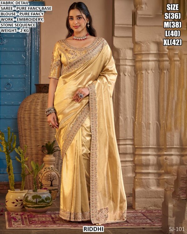 Graceful Fancy Saree With Detailed Border Work