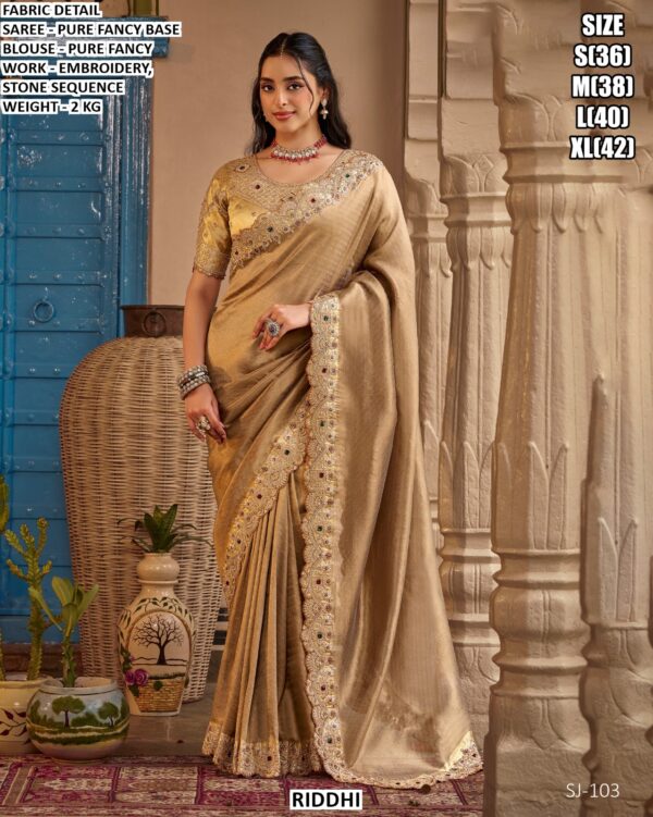 Graceful Fancy Saree With Detailed Border Work