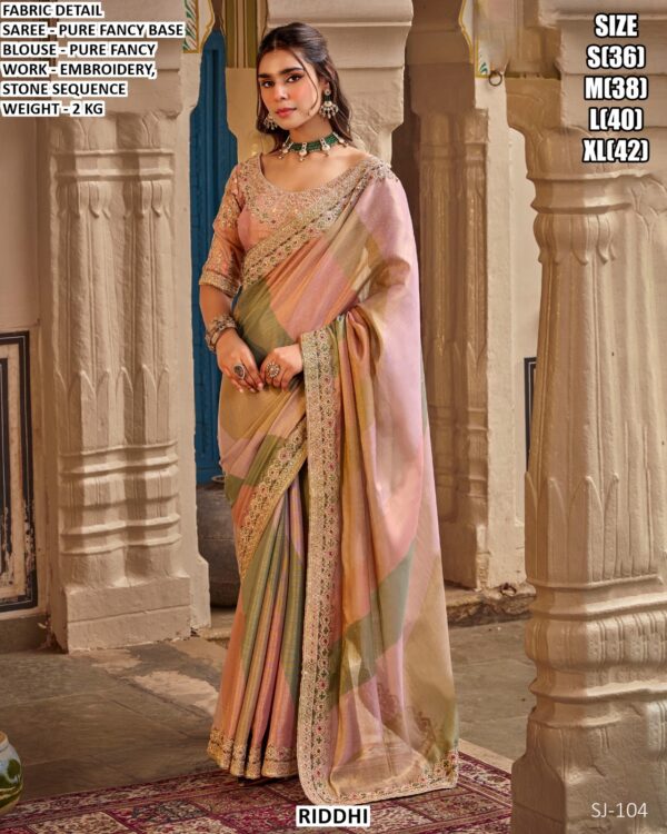 Graceful Fancy Saree With Detailed Border Work