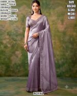 Beautiful Fancy Work Saree With Matching Blouse