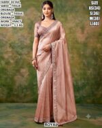 Beautiful Fancy Work Saree With Matching Blouse