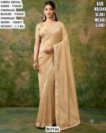 Beautiful Fancy Work Saree With Matching Blouse