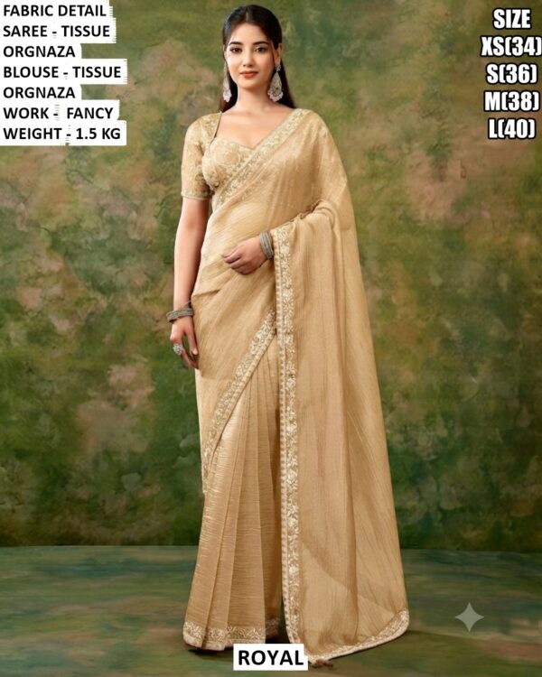 Beautiful Fancy Work Saree With Matching Blouse
