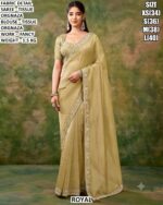Beautiful Fancy Work Saree With Matching Blouse
