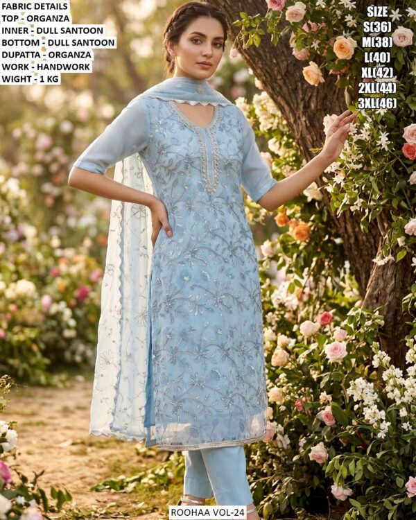 Graceful Party Wear Handwork Suit For Women