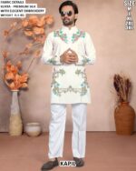 Stylish Embroidery Work Kurta For Festive Wear