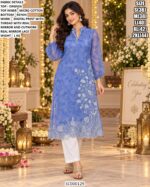 Elegant Organza Kurti With Mirror Work