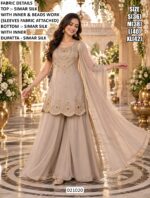 Modern Festive Wear Palazzo Outfit For Women