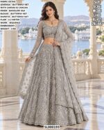 Wedding Wear Net Lehenga With Detailed Blouse