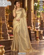 Classic Zari Woven Traditional Saree Look