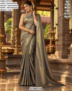 Classic Zari Woven Traditional Saree Look