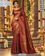 Classic Zari Woven Traditional Saree Look