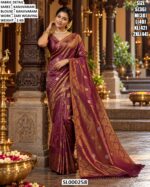 Classic Zari Woven Traditional Saree Look